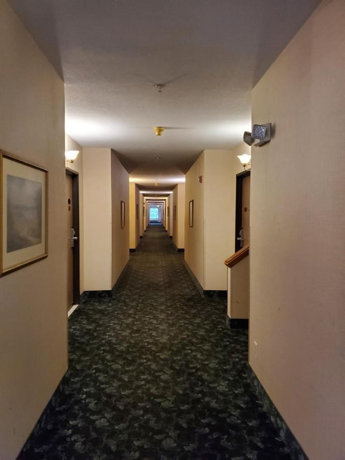 Bellis Inn Bellingham Eksteriør bilde