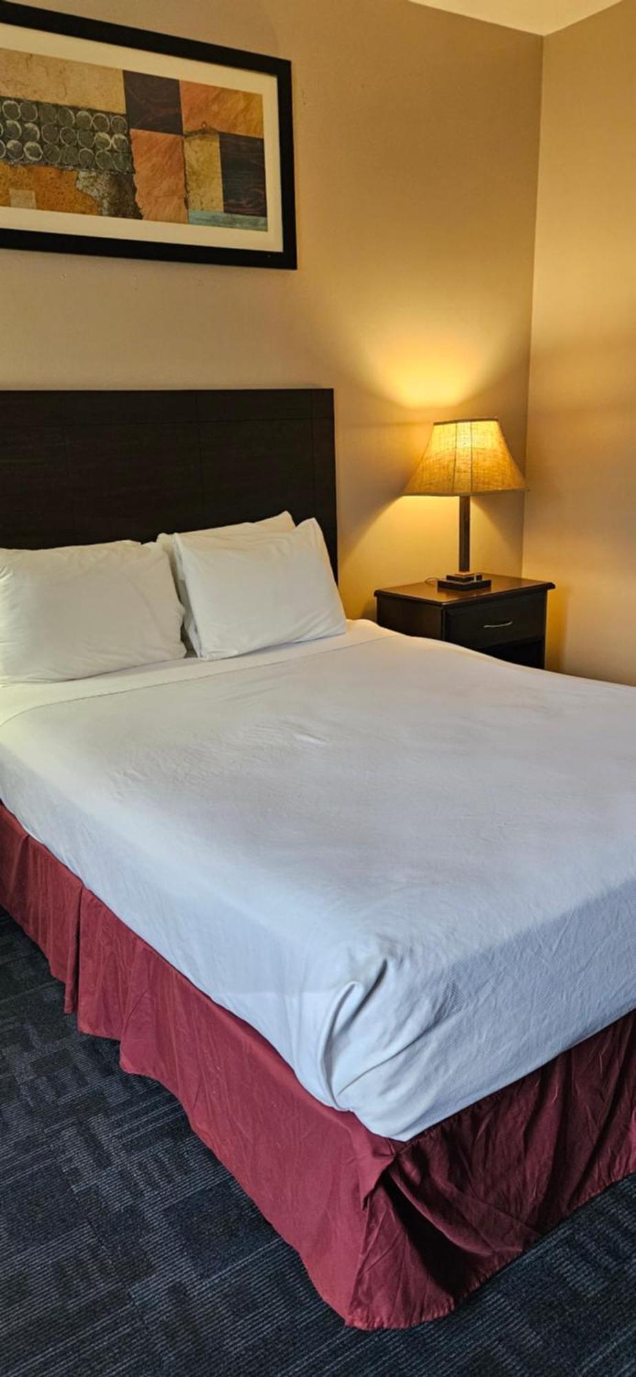Bellis Inn Bellingham Eksteriør bilde