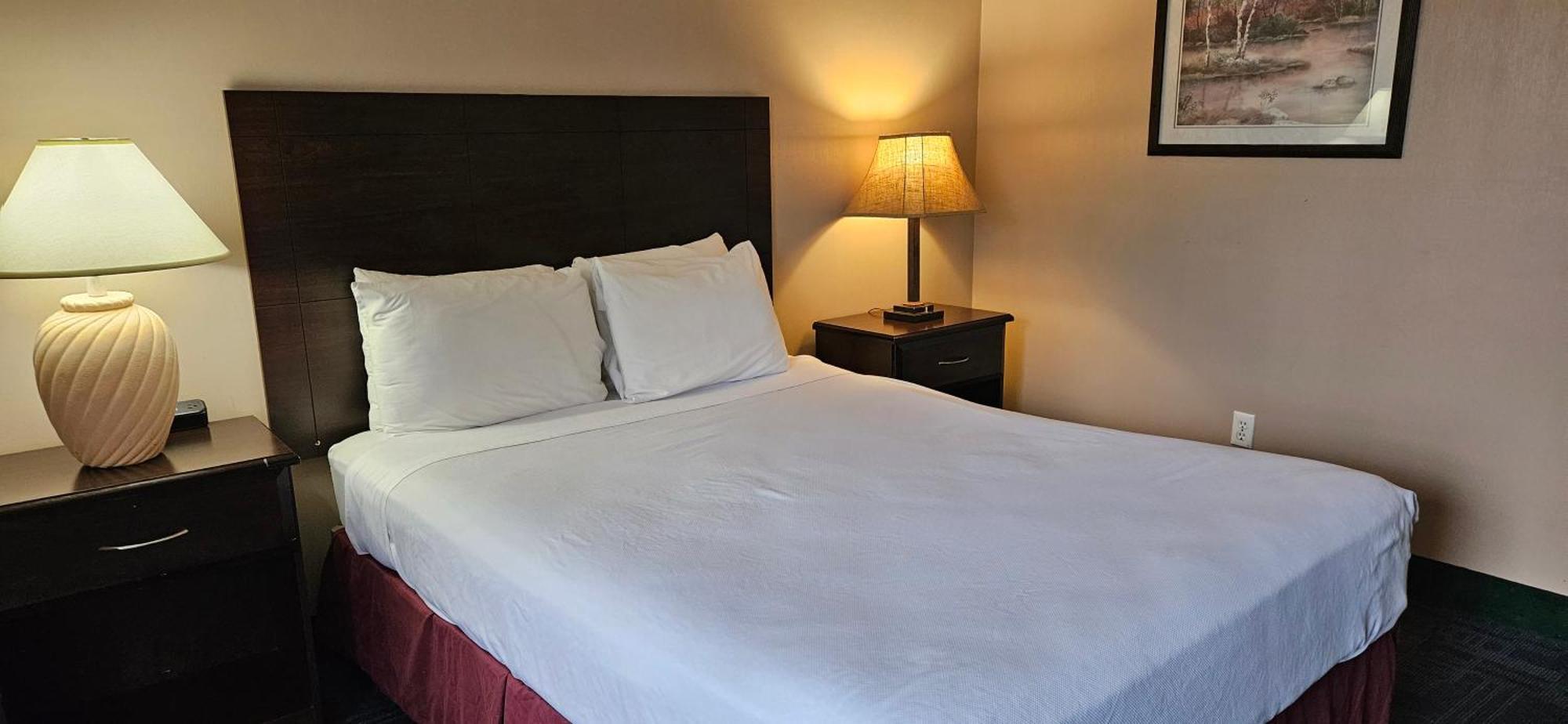 Bellis Inn Bellingham Eksteriør bilde